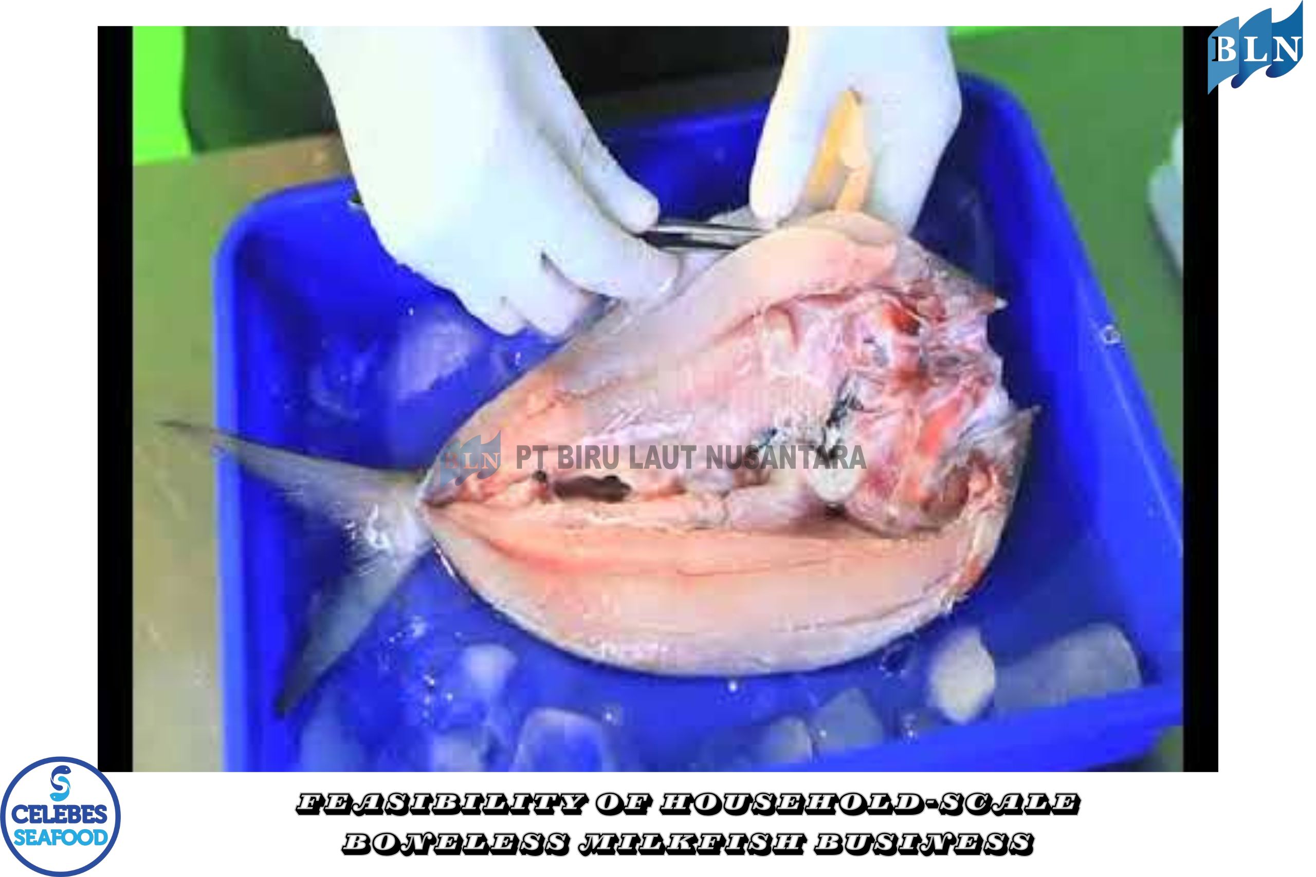 Feasibility of Household-Scale Boneless Milkfish Business